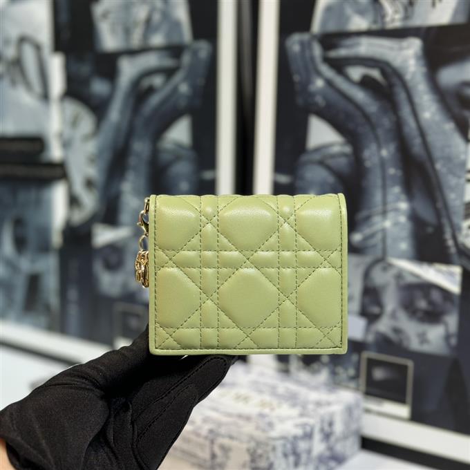 2025228Y 220P182142971